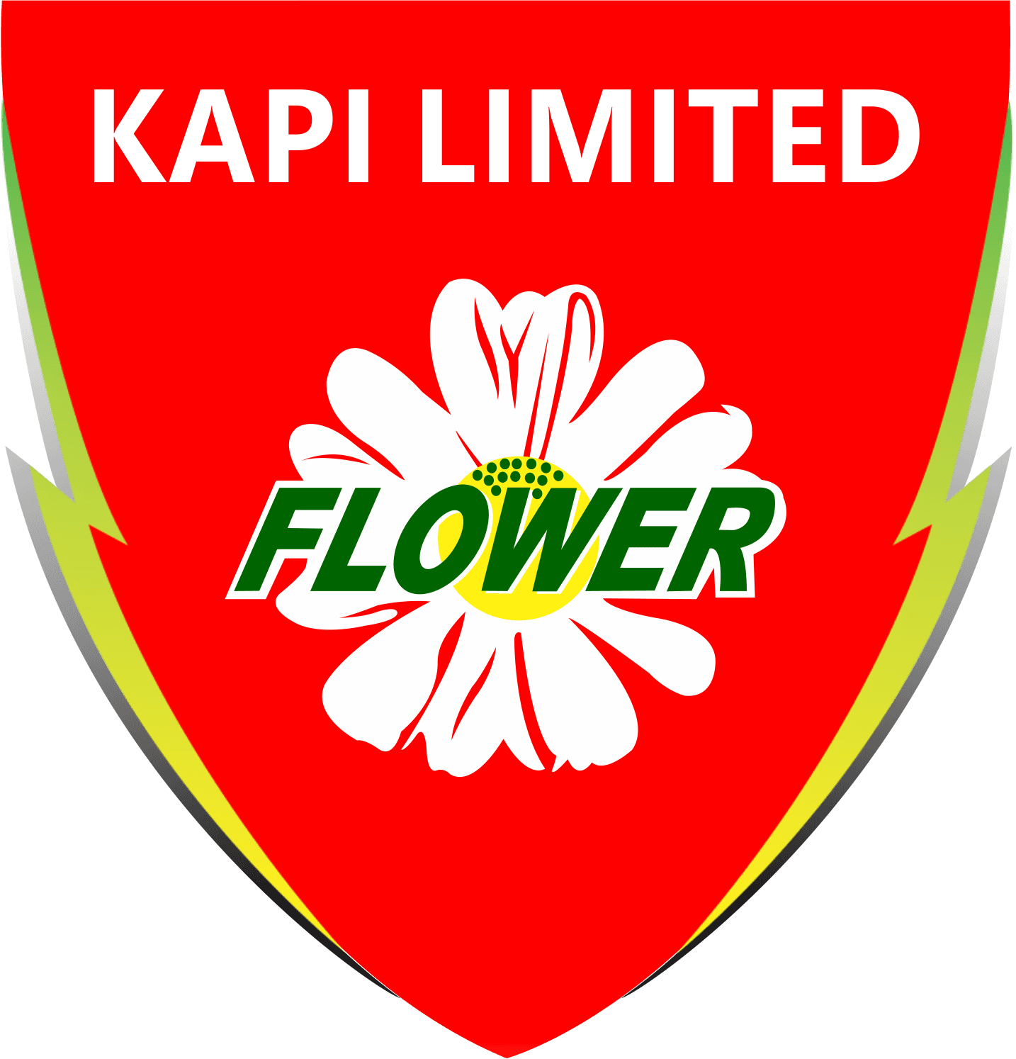 KAPI LTD