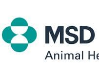 MSD