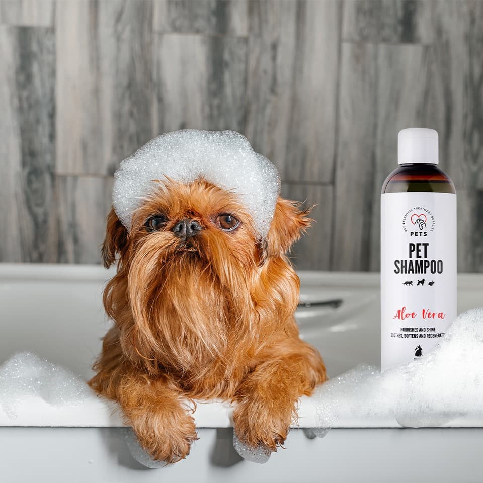SHAMPOO