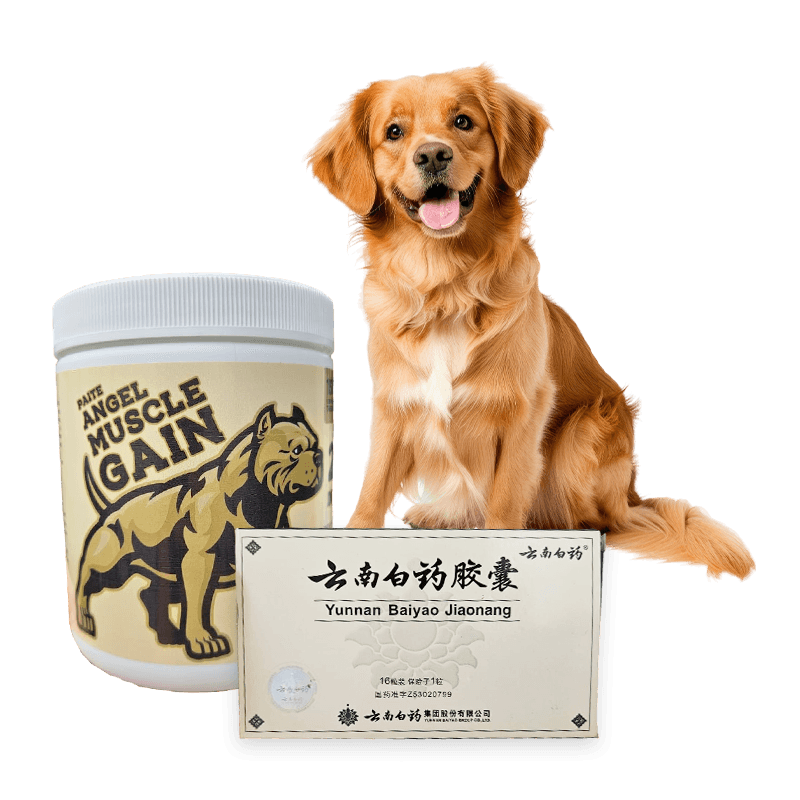 PAITE ANGEL MUSCLE GAIN RETAIL