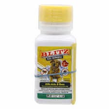 BLITZ — view 2