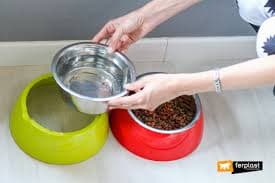 JOLIE L RED BOWL STAINLESS STEEL&PLASTIC — view 2