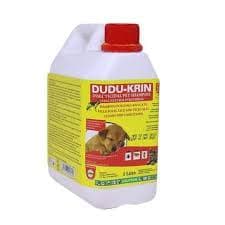 DUDU KRIN 1L