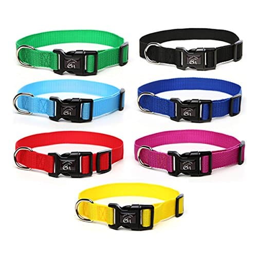 GLOW CASTLE COLLAR SIZE L — view 2