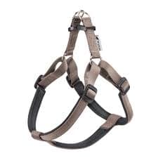 DAYTONA P L HARNESS BROWN