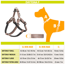 DAYTONA P L HARNESS BROWN — view 2