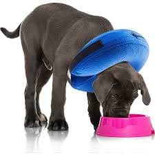 DC0015 INFLATABLE DOG COLLAR SIZEXL — view 2