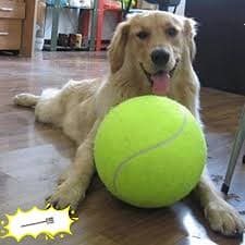 PT0225 -5 Air Inflated 24cmTennis Ball for Dog