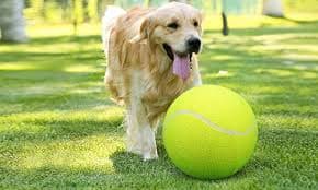 PT0225 -5 Air Inflated 24cmTennis Ball for Dog — view 2