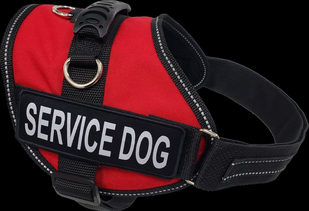 SLL305 HARNESS XL 20.5