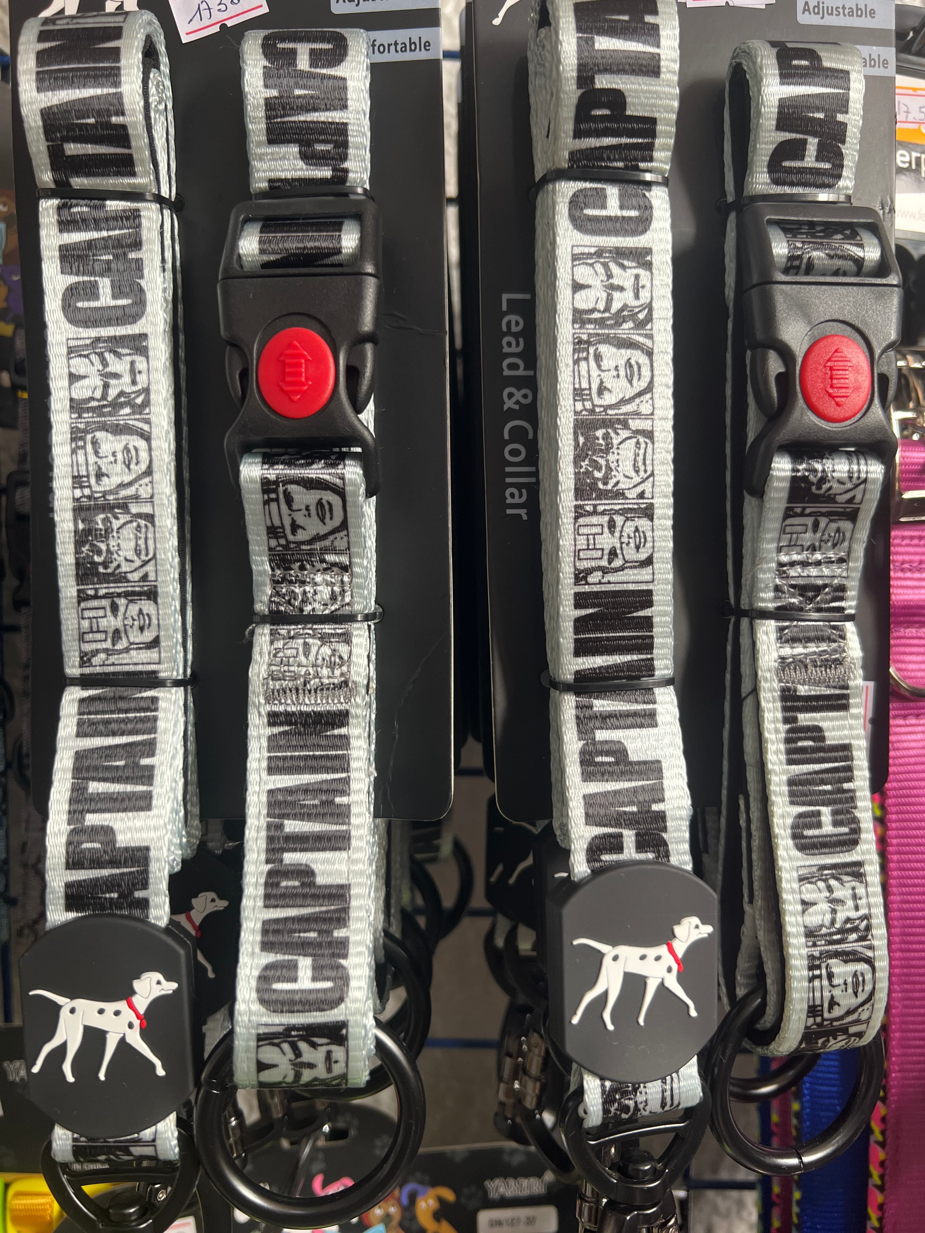 VD 48 LEASH&COLLAR