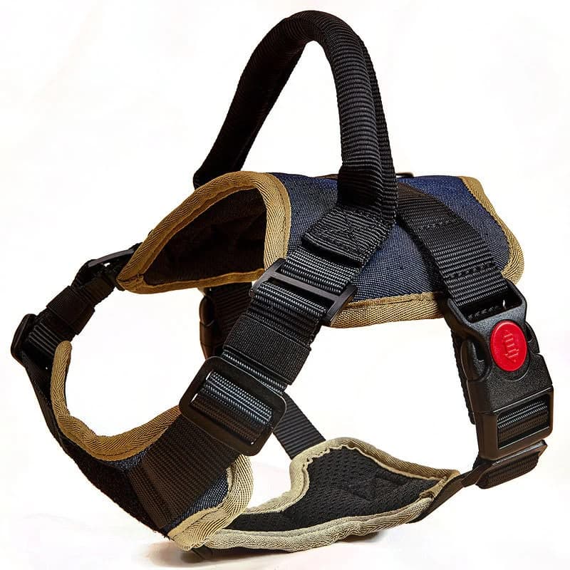PET HARNESS  2000