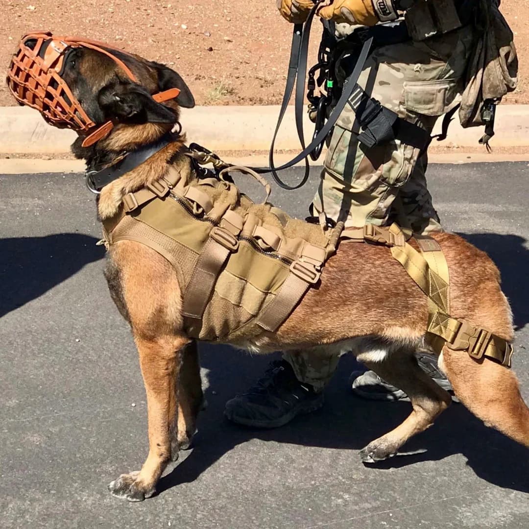 Security dog tactical equipment supply