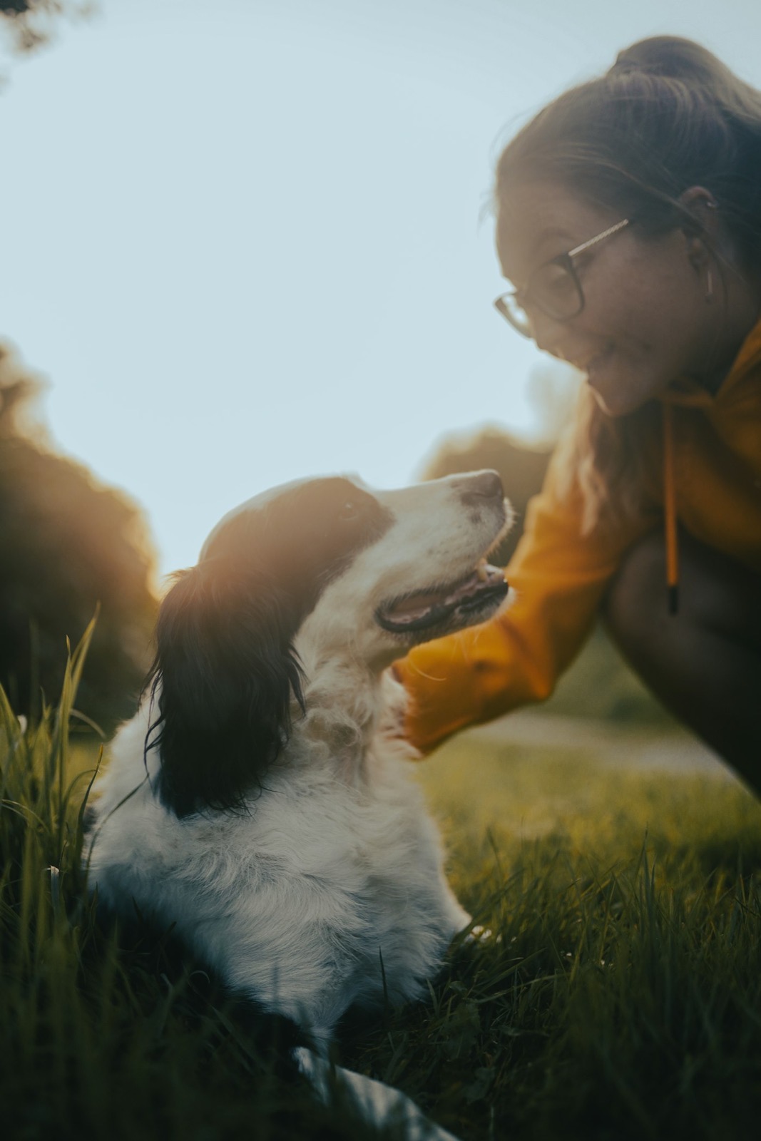 A woman kneeling beside her happy dog in a sunny park